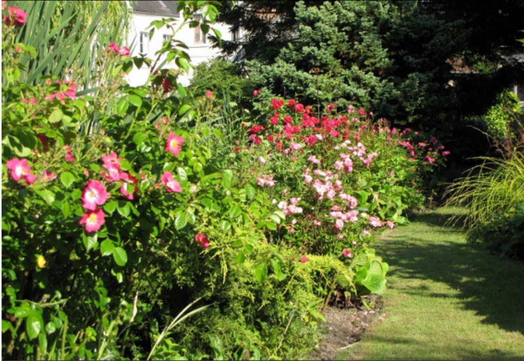 Au Jardin Des Deux Ponts Bed and Breakfast Abbeville Exterior foto